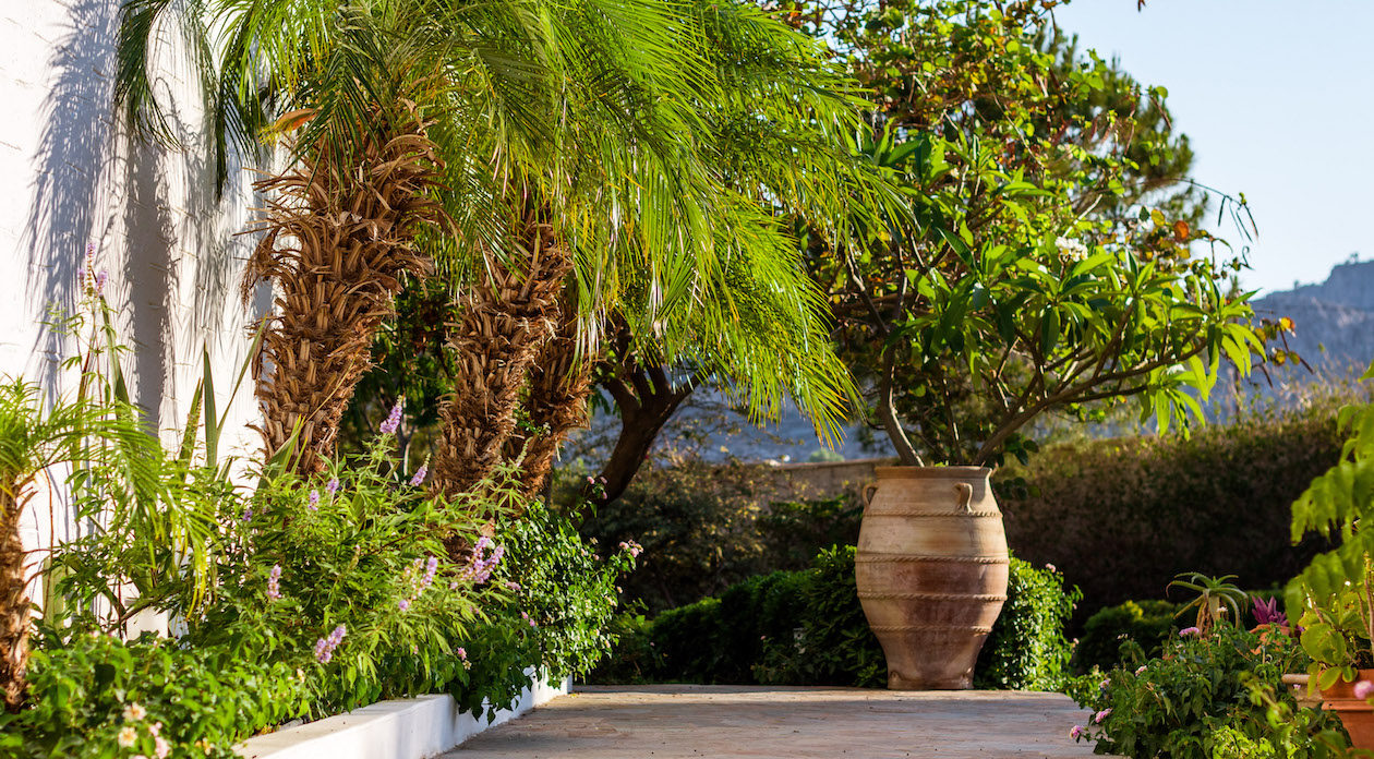 Εξωτικό ακίνητο για φύτευση προς πώληση στη Ρόδο, Ελλάδα