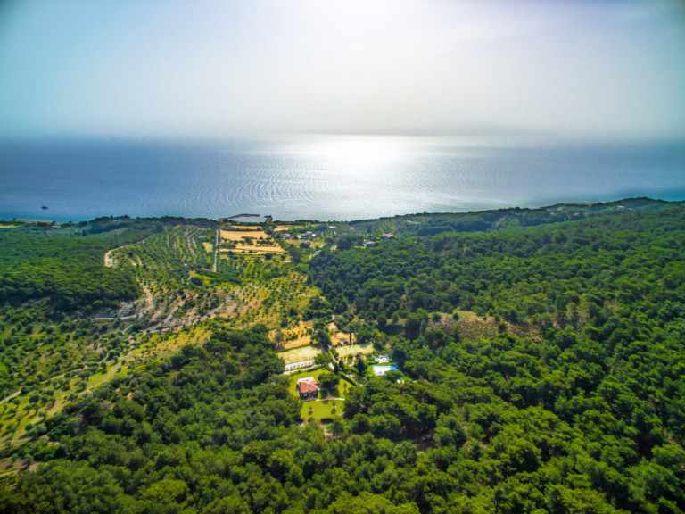 σπίτια προς πώληση : Τέλειος Παράδεισος Λέσβος, Βόρειο Αιγαίο