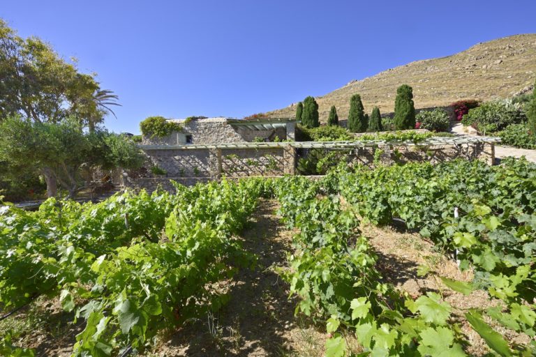 Mira Mare, Μύκονος